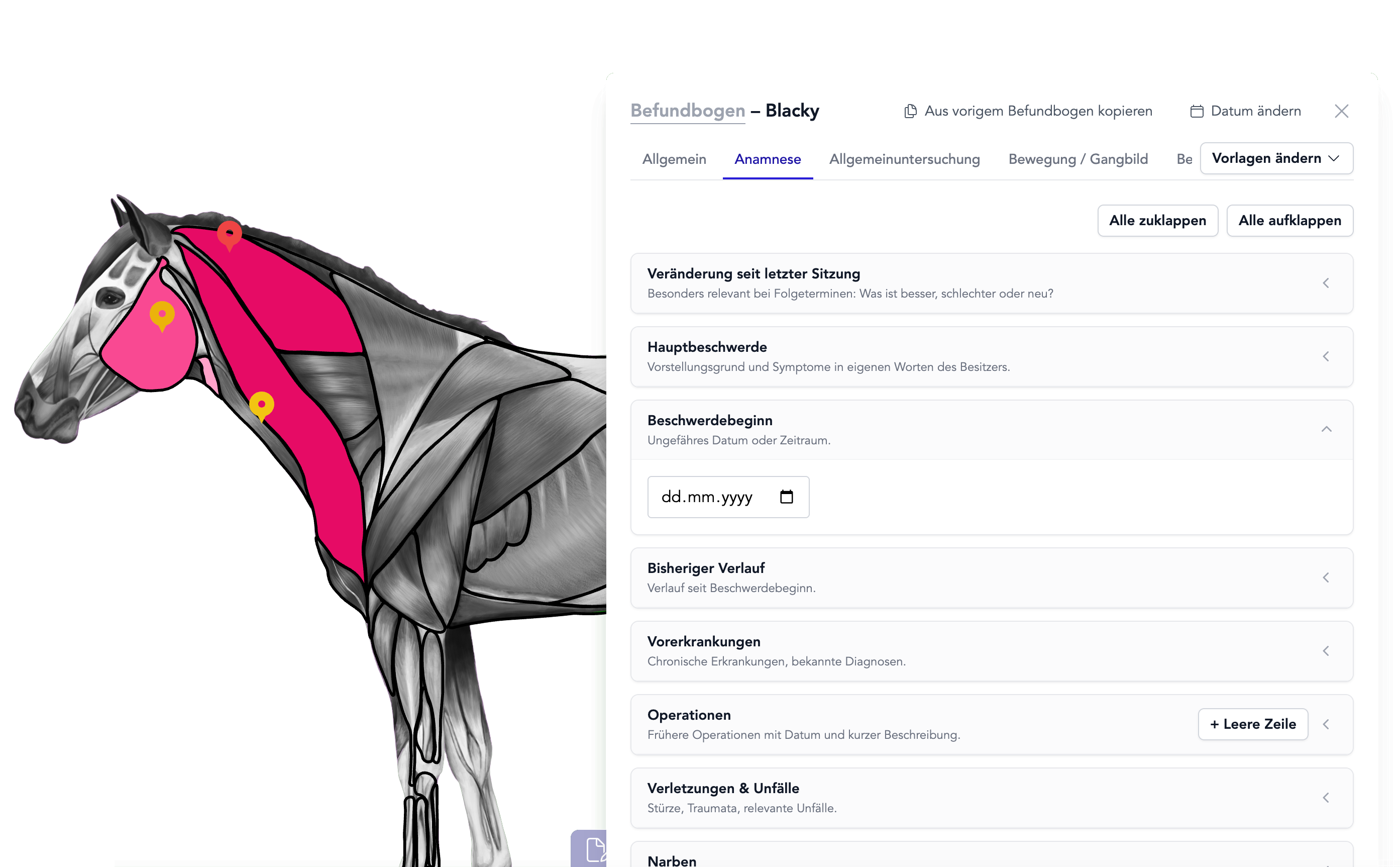 Terapi-software til heste-, hunde- og katte-terapeuter