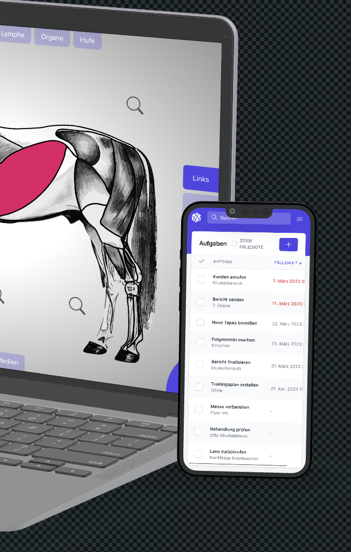 TheraTap software til mobil praksis