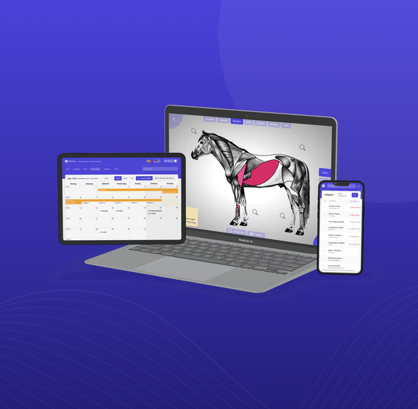 Optimal støtte til mobile terapeuter