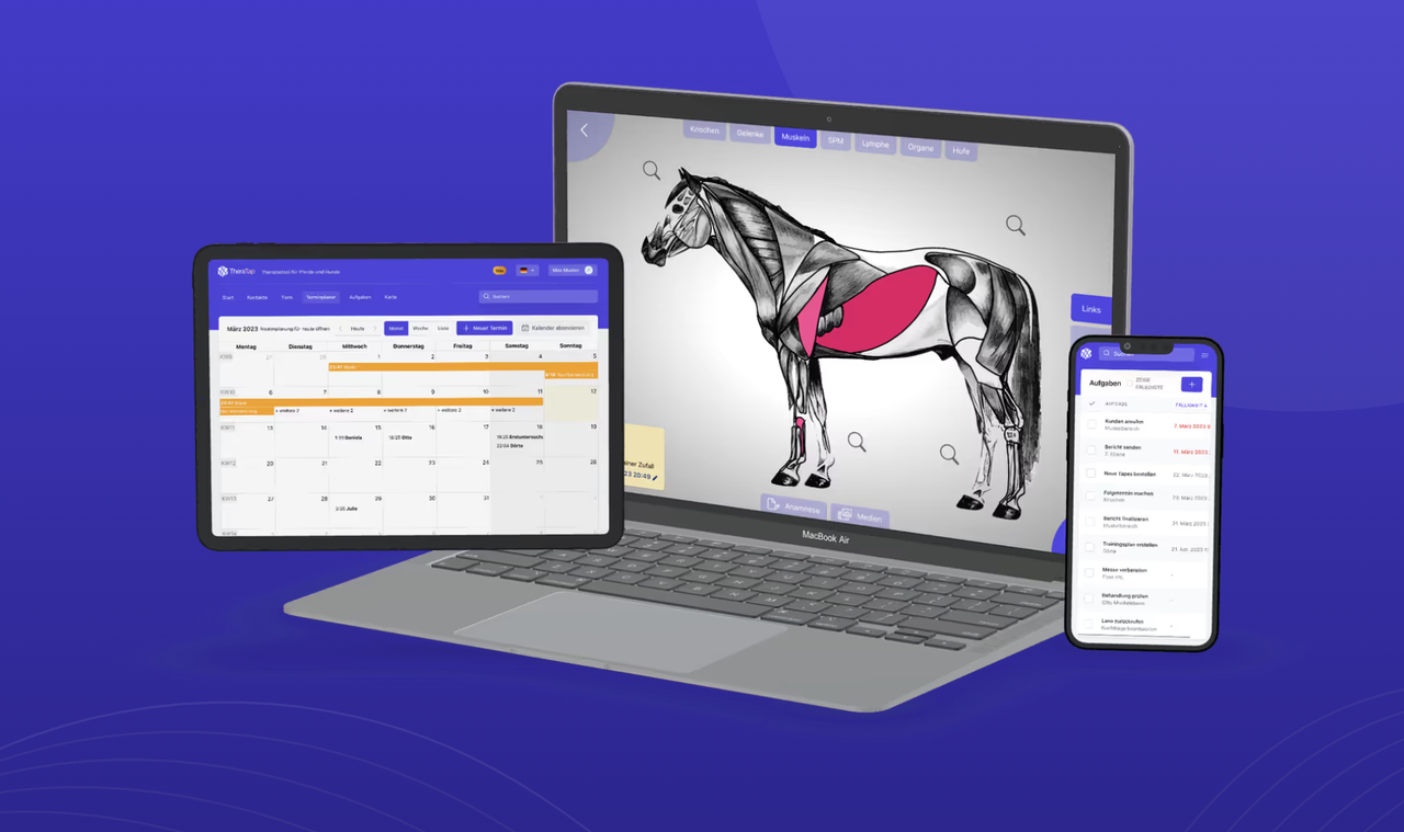 TheraTap software til mobil praksis