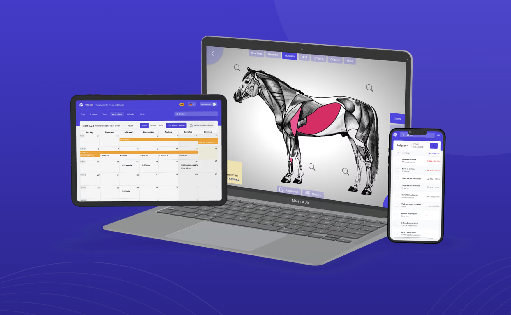 TheraTap software til mobil praksis