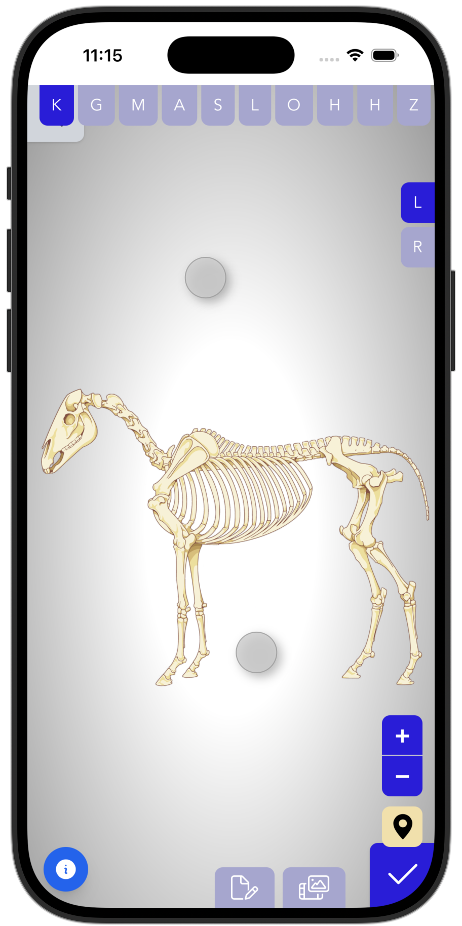 TheraTap-app: behandling