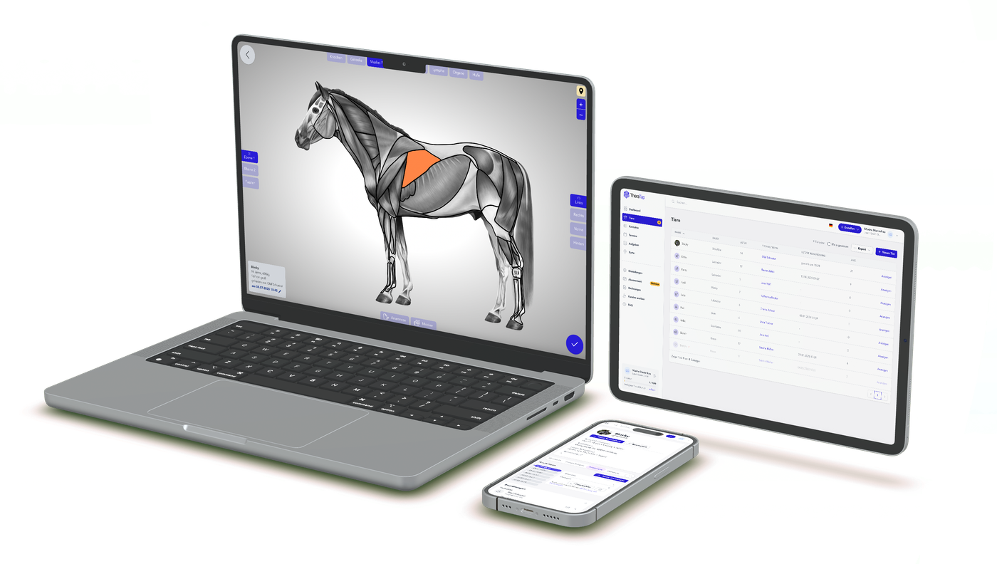 TheraTap WebApp Apps